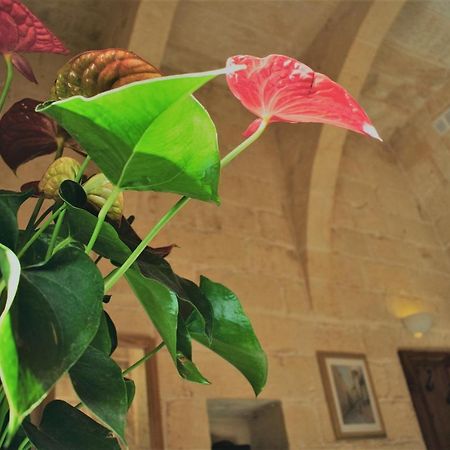 Xagħra Encanto Vegetarian Bed & Breakfast Bed & Breakfast エクステリア 写真