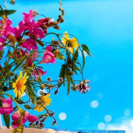 Xagħra Encanto Vegetarian Bed & Breakfast Bed & Breakfast エクステリア 写真
