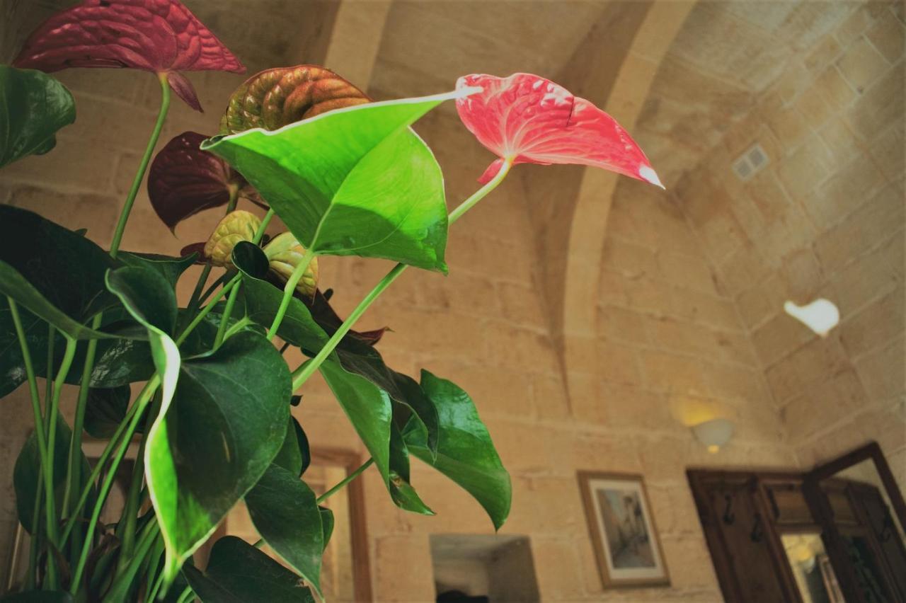 Xagħra Encanto Vegetarian Bed & Breakfast Bed & Breakfast エクステリア 写真