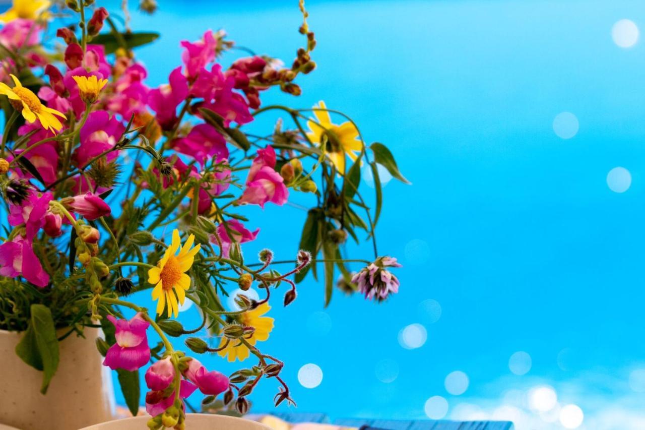 Xagħra Encanto Vegetarian Bed & Breakfast Bed & Breakfast エクステリア 写真